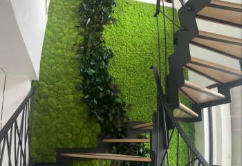 mur végétal intérieur stabilisé