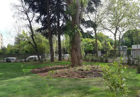 Focus projet : à Neuilly-sur-Seine (92), une résidence entre élégance et biodiversité