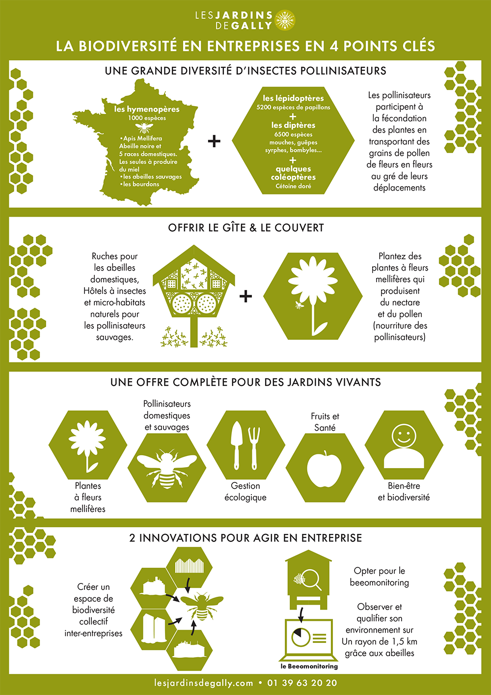 Infographie abeille ruche