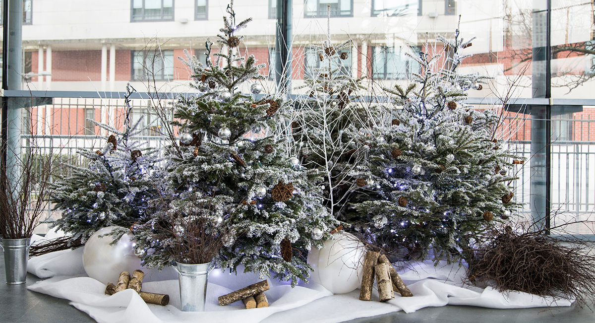 décor de noel