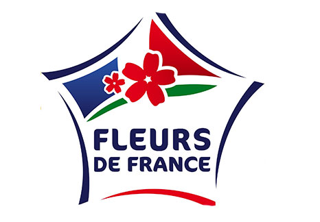 fleurs bleue