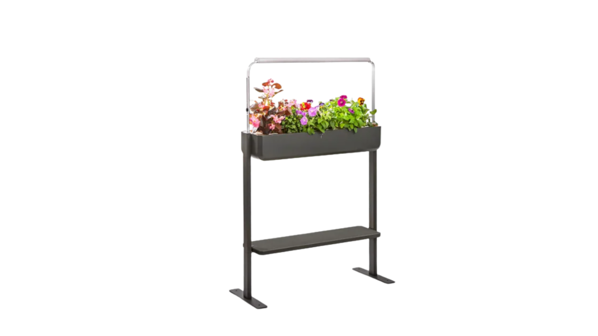 Jardinière végétale