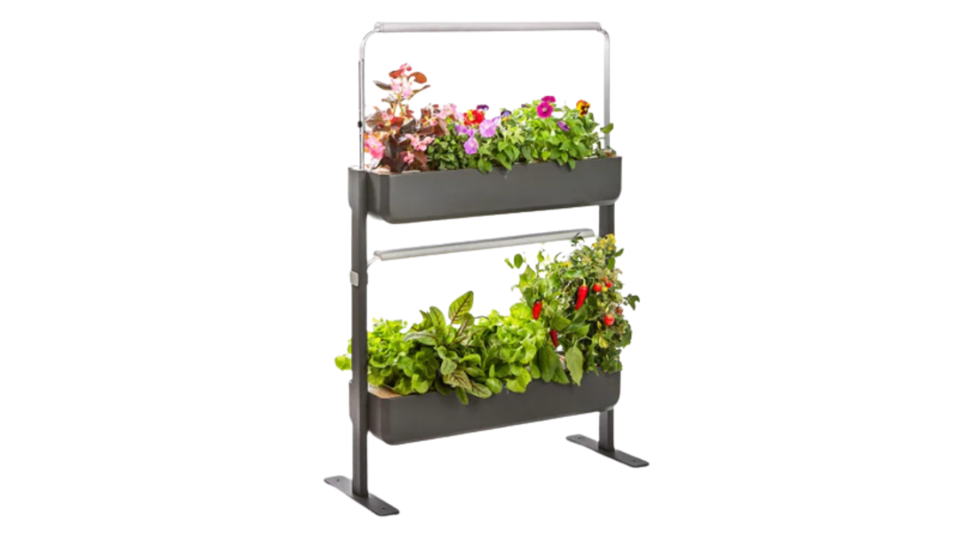 Jardinière végétale