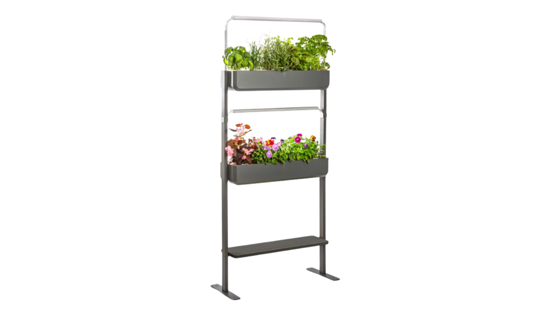 Jardinière végétale
