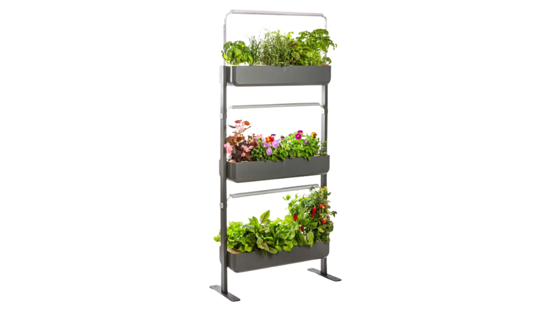 Jardinière végétale