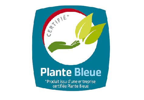 plante bleue