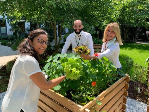 potager entreprise nature urbaine