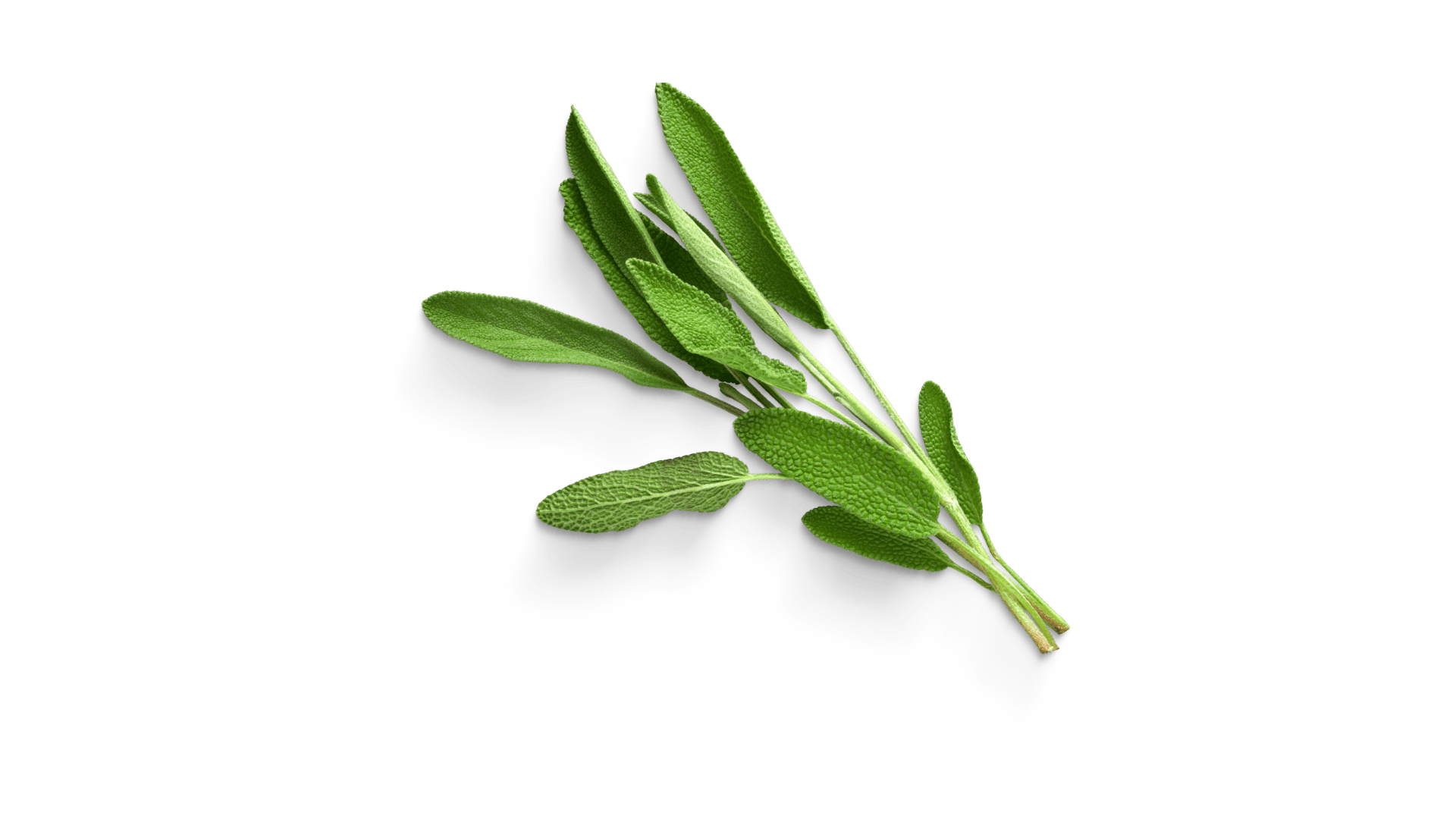hac
