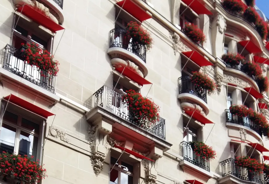 Balconnières de géraniums