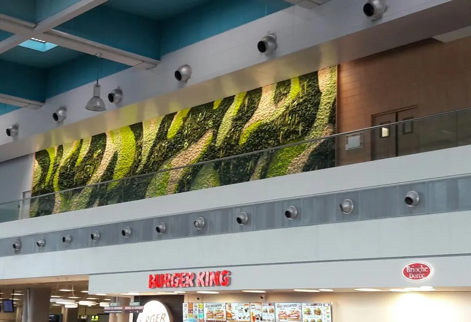 Mur végétal aéroport de Marseille