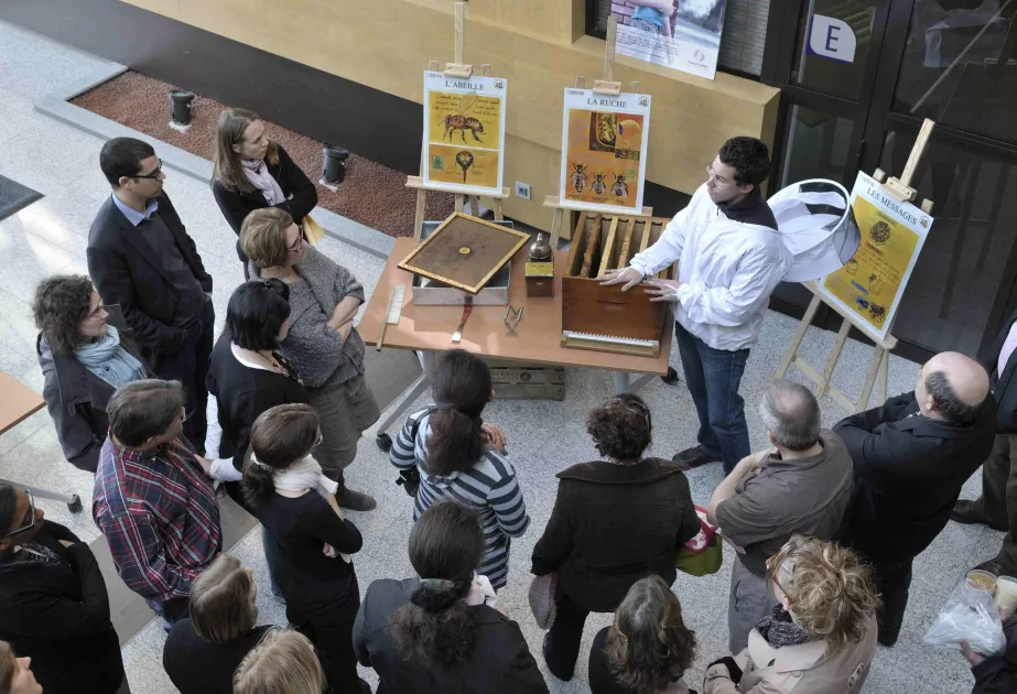 Atelier ruche en entreprise