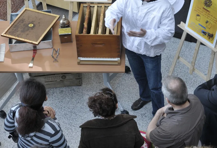 Atelier ruche en entreprise