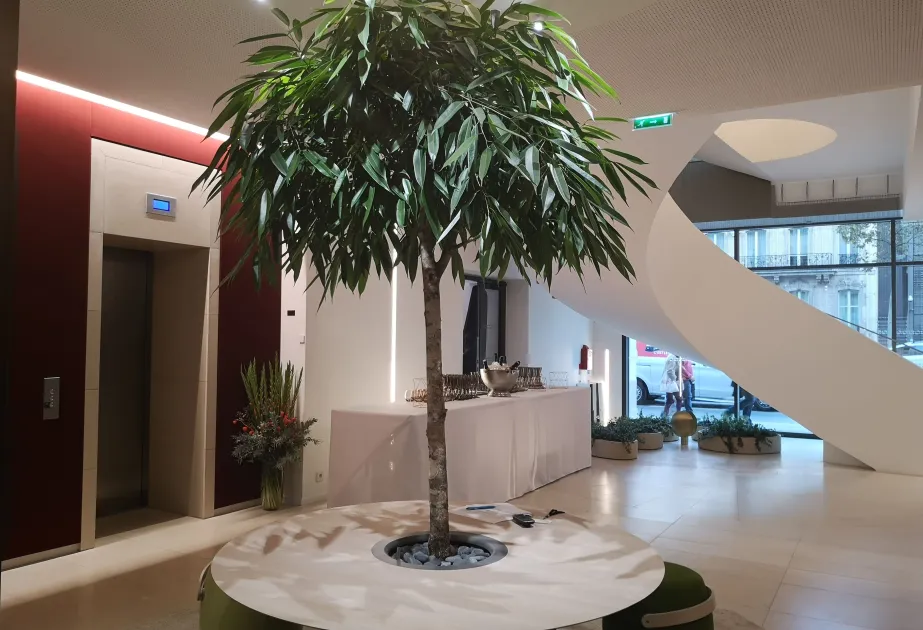 Aménagement intérieur 
