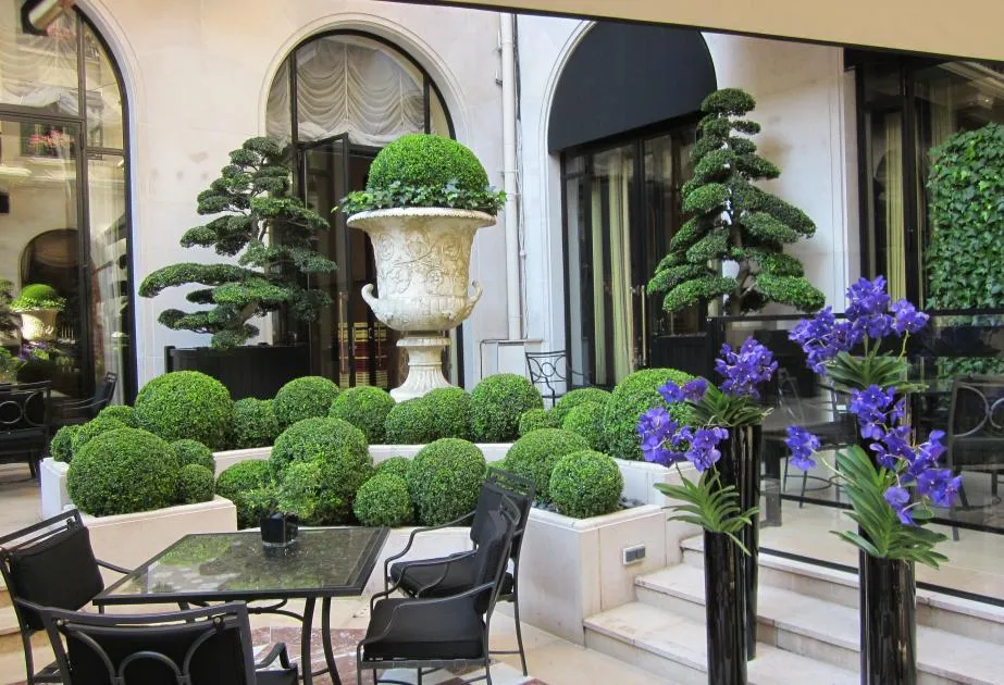 Terrasse hotel palace luxe