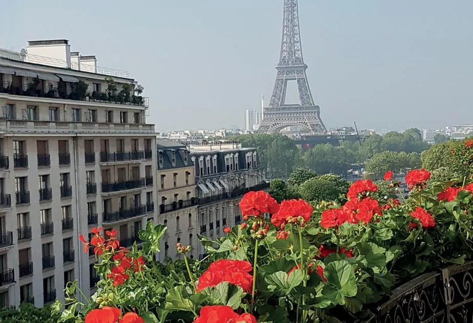 Balconnières de géraniums