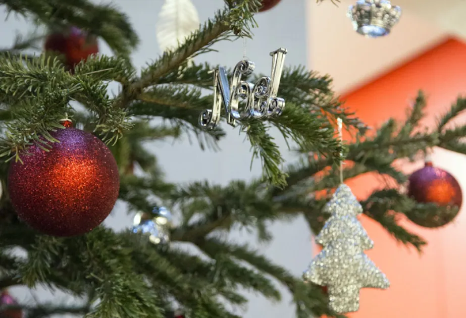 Sapins de Noël