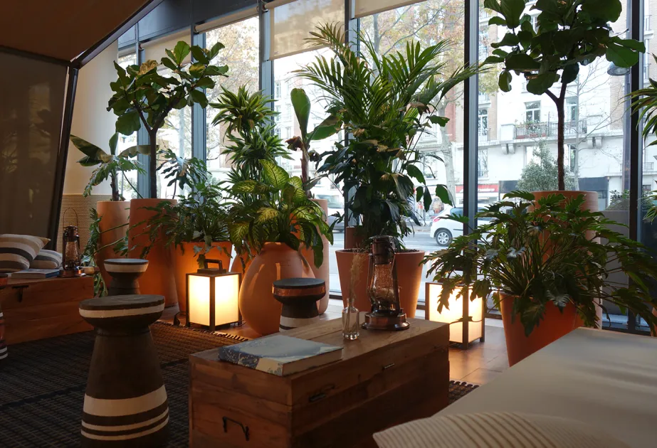 Végétalisation des espaces intérieurs Novotel - Paris Porte de Versailles