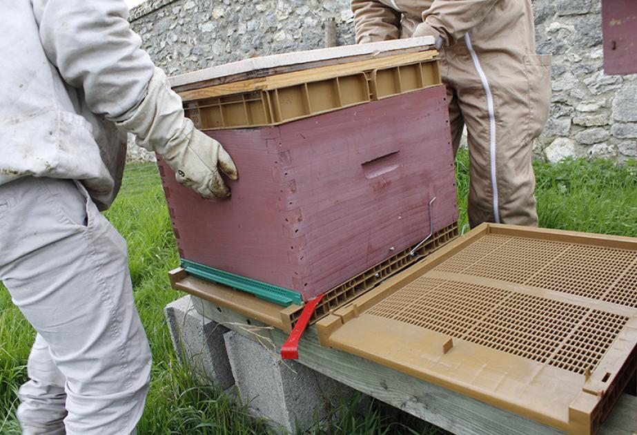Changement de plancher