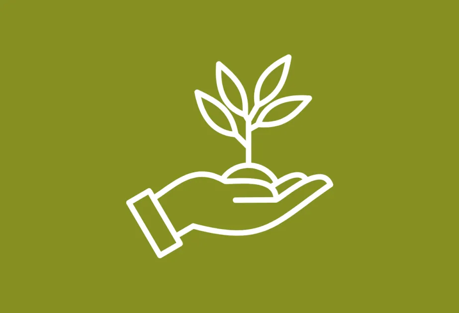 mainplante