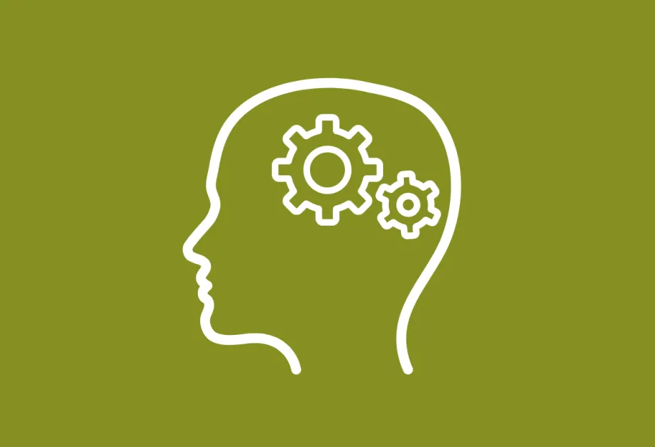 cerveau