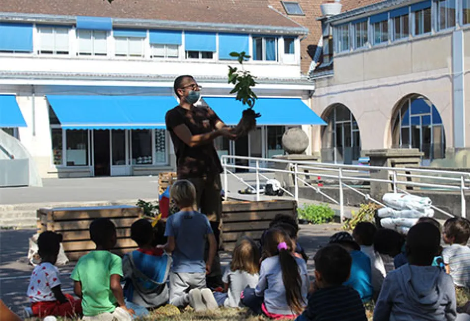 Présentation plantes potager pantin