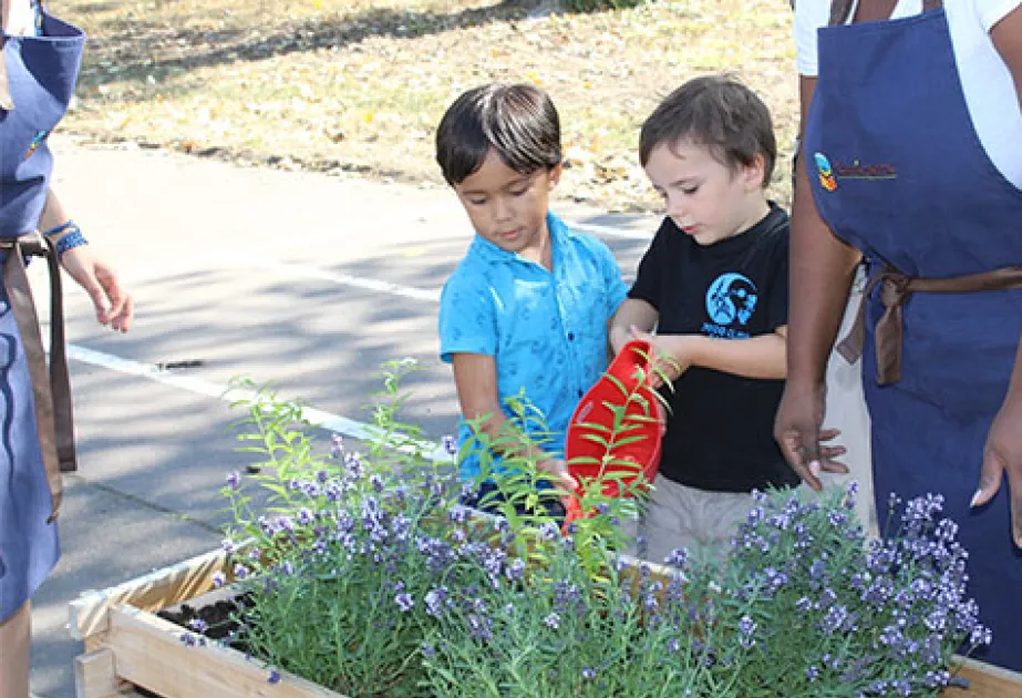 Enfants arrosage école plante pantin potager