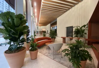 Et si le végétal devenait votre allié contre le stress acoustique ? 