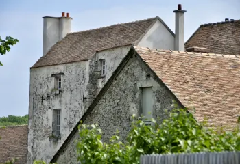 Le vivant 