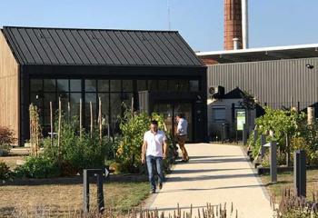 Réalisation de jardin vivant