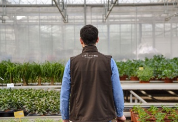 vente de vivaces vente d'arbustes à la Ferme Horticole Théart
