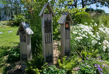 jardin favorable à l'accueil de la biodiversité à Annecy