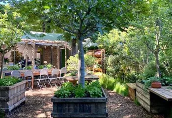 décor d'événement végétalisé