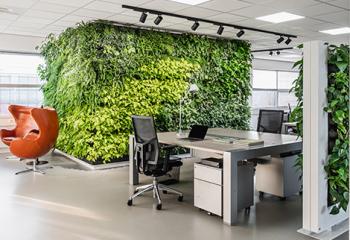 mur végétal d'intérieur pour bureau et entreprise à Nantes