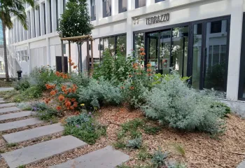 Focus projet : réhabilitation du patio BNP Paribas Real Estate à Nice