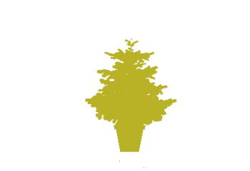 Décors de Noël sapin