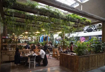 végétalisation d'intérieur luxuriante plantes naturelles dans l'Est de Paris