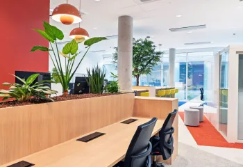 végétalisation intérieure de bureau 