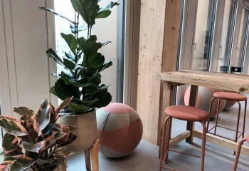plantes d'intérieur en pot dans des bureaux