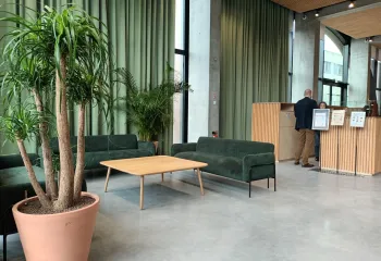 plantes d'intérieur en pot dans un hall d'accueil