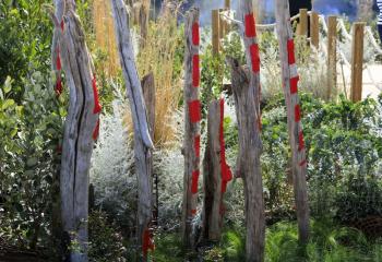 La Jetée au Festival des Jardins de la Côte d'Azur 