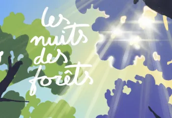 Affiche Nuit des forêts 2026