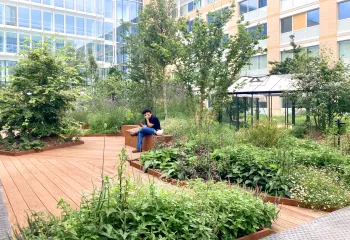 Focus projet : Carré Vert à Levallois-Perret