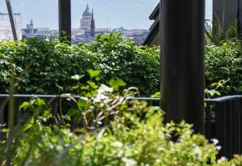 Focus Projet : le rooftop de l'Hôtel Madame Rêve