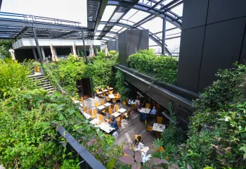 Focus Projet : le rooftop de l'Hôtel Madame Rêve