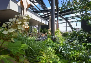 Focus Projet : le rooftop de l'Hôtel Madame Rêve