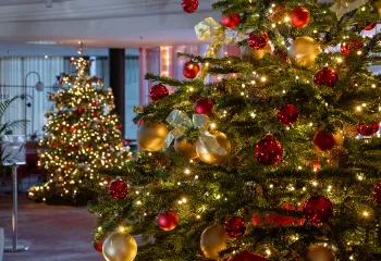 sapin de noel en intérieur