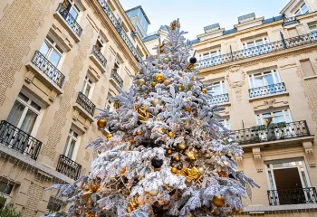 sapin de noel exterieur floqué