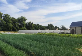 Focus projet : ferme maraîchère municipale de Canteleu (76)