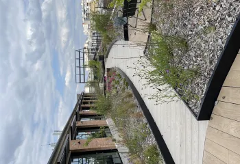 Focus projet : végétaliser l'immeuble de bureaux de Nuveen