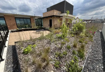 Focus projet : végétaliser l'immeuble de bureaux de Nuveen